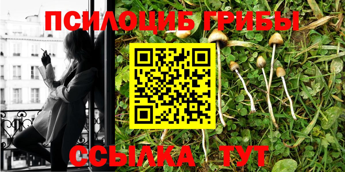 Галлюциногенные грибы Magic Shrooms  Вход с VPN  Галлюциногенные грибы Psilocybine cubensis  Железноводск 